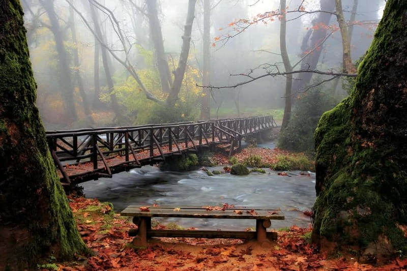 From Thessaloniki: Vergina, Agios Nikolaos, and Edessa - Exploring the Macedonian Heritage at Vergina