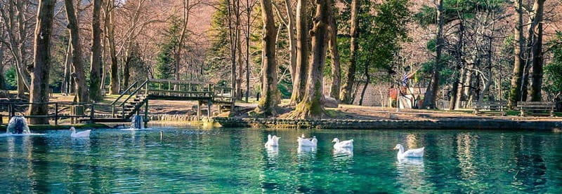 From Thessaloniki: Vergina, Agios Nikolaos, and Edessa - Edessa Waterfalls: Nature’s Spectacle