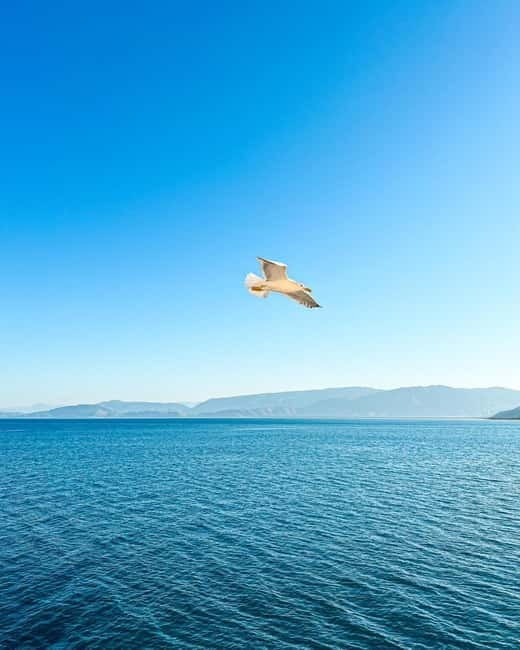 From Tirana: 2-Day Albanian Riviera & Dhermi Guided Tour - Key Points / Takeaways