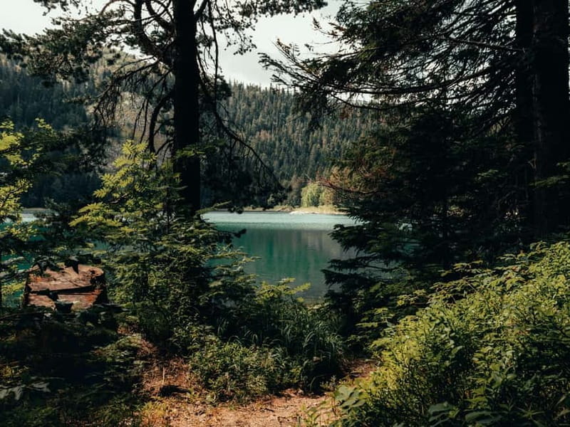 From Tirana: Bosnia, Montenegro & Albania 4-Day Guided Tour - A Deep Dive into the 4-Day Balkan Adventure