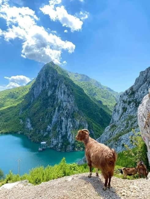 From Tirana: Bovilla Lake and Gamti Mountain Tour - Discovering the Natural Charm of Bovilla Lake