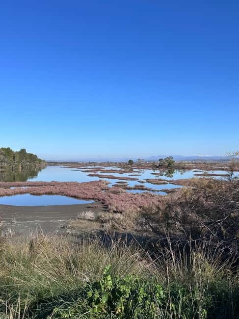 From Tirana/Durres : Karavasta Lagoon 4x4 Offroad Tour. - Practical Tips for Making the Most of Your Day