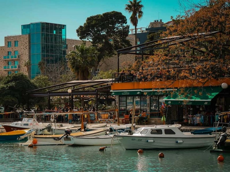 From Tirana: Group Day Trip to Budva & Kotor in Montenegro - Who Will Love This Tour?