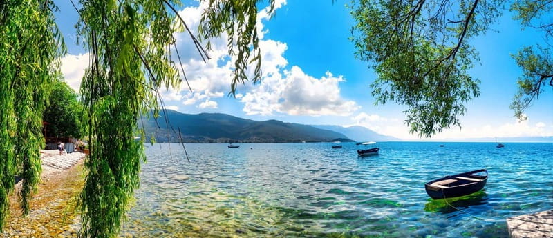 From Tirana: Ohrid Lake, Drilon, Lin, Pogradec With Lunch - Detailed Breakdown of the Itinerary