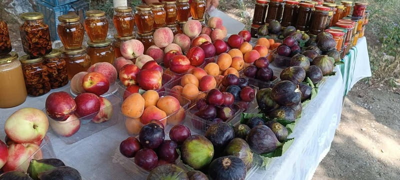 From Tirana or Durres: Berat in a Day Trip - Exploring Berat: What Makes It Special?