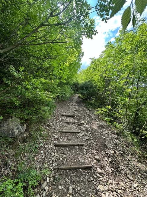 From Tirana: Pëllumbas Cave hiking & Petrelë Castle tour - Frequently Asked Questions