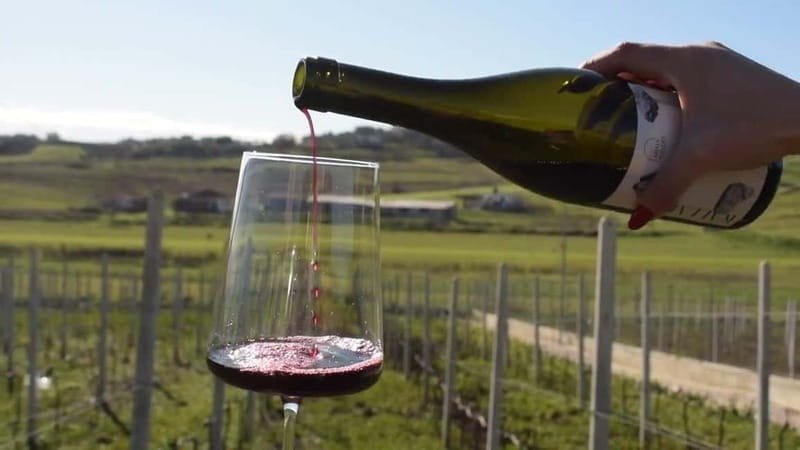 From Tirana: Wine Tasting & Durres Small Group Tour - Key Points / Takeaways