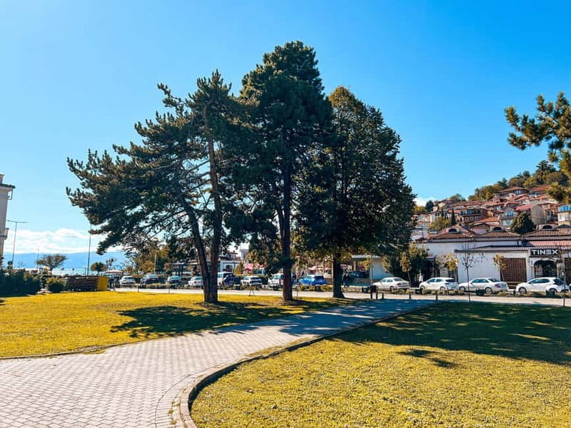 From Tirana,Day Tour: UNESCO site Ohrid Lake - Who Should Consider This Tour?