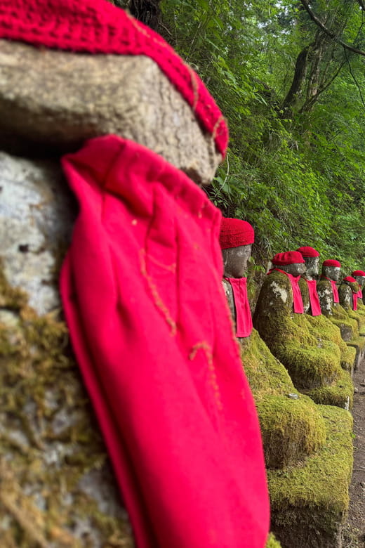 From Tokyo: 3-Day Nikko, Tokyo, and Mt. Fuji Tour - Important Information