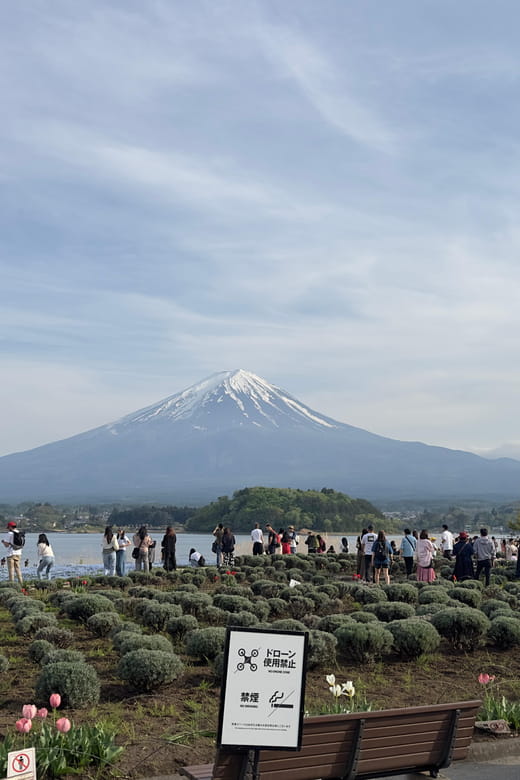 From Tokyo: 3 Day Private Tour (Mt.fuji, Nikko, Hakone) - Nikko