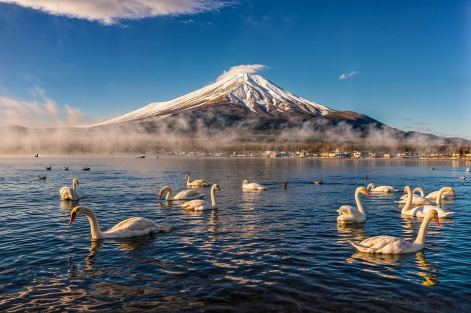 From Tokyo: Mount Fuji and Hakone Full Day Trip - Itinerary B: The Serenity of Hakone