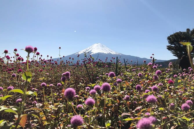 From Tokyo: Mount Fuji, Cruise and Sake Tasting Tour - Highlights of the Day