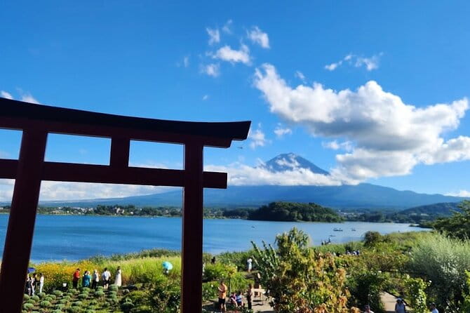 From Tokyo: Mount Fuji Full Day Private Tour With English Guide - Accessibility and Health Considerations