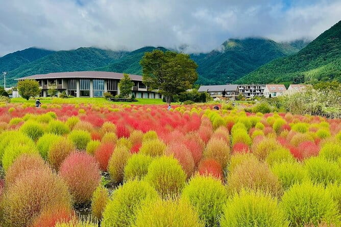 From Tokyo: Mount Fuji Full Day Private Tour With English Guide - What to Expect During the Tour