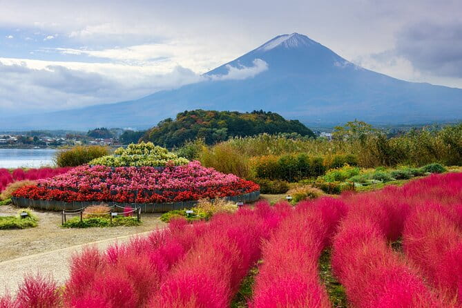 From Tokyo: Mount Fuji Highlights Tour With Kawaguchi Lake Cruise - Tour Itinerary
