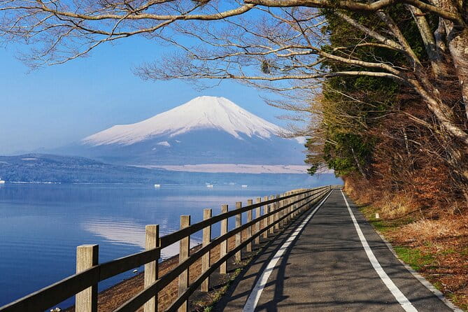 From Tokyo: Mount Fuji Highlights Tour With Kawaguchi Lake Cruise - Tour Inclusions