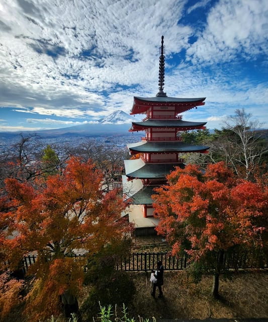 From Tokyo: Mount Fuji Private Tour With Driver - Transportation and Inclusions