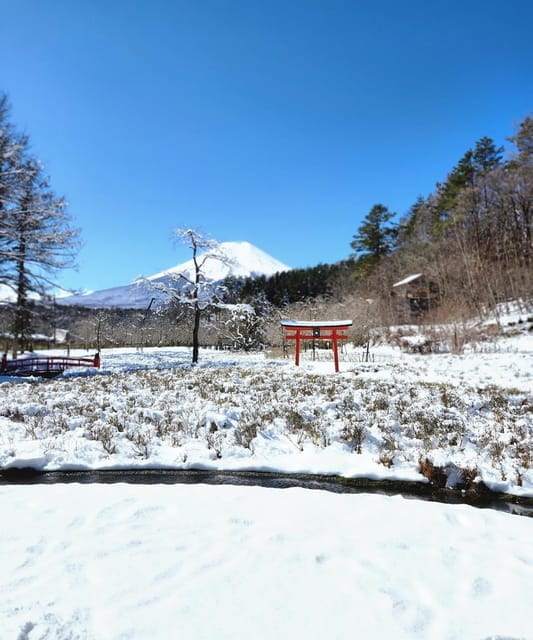 From Tokyo: Mount Fuji Private Tour With Driver - Frequently Asked Questions