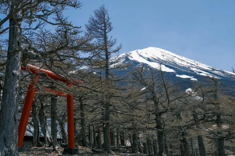 From Tokyo: Mt Fuji, 5th Station, & Hot Springs Day Trip - Important Information