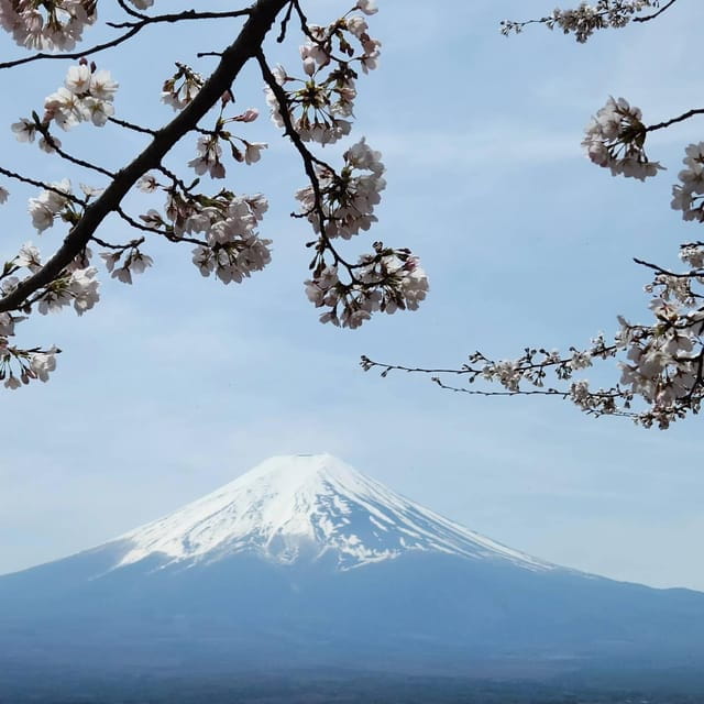From Tokyo: Mt Fuji and Lake Kawaguchiko Private Day Trip - Customer Feedback