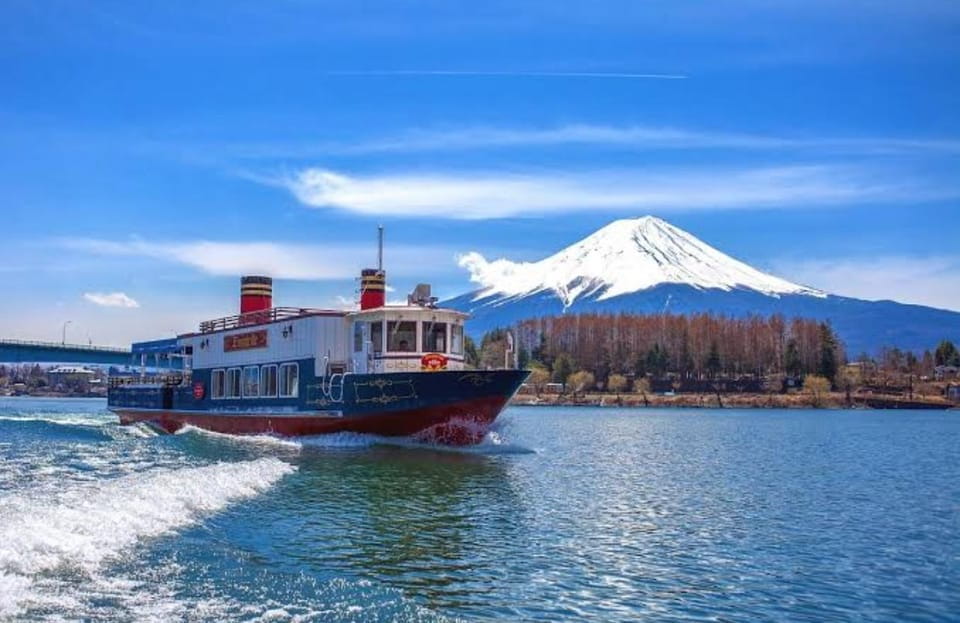 From Tokyo : Mt Fuji Private Sightseeing Tour - Travel Comfort