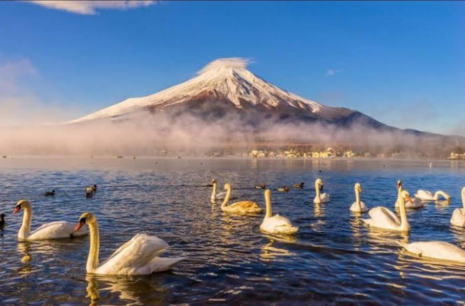From Tokyo : Mt Fuji Private Sightseeing Tour - Inclusions