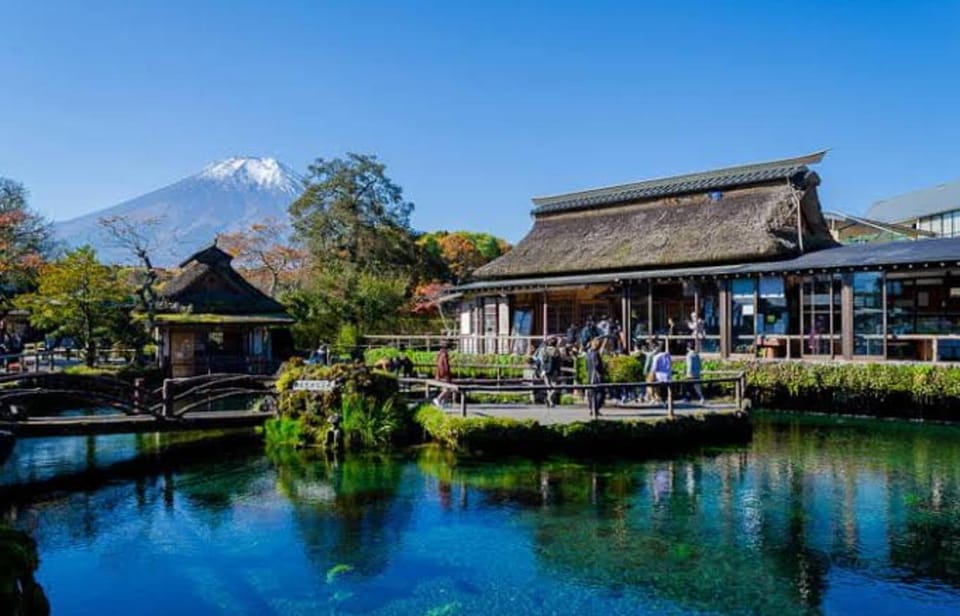 From Tokyo : Mt Fuji Private Sightseeing Tour - Important Information