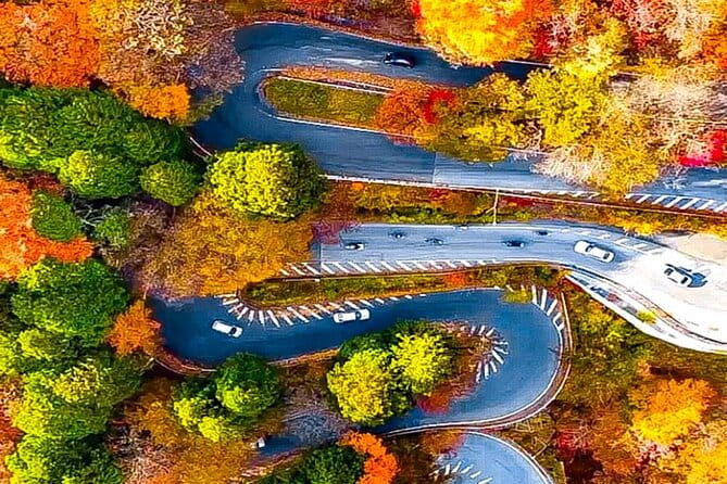 From Tokyo: Nikko Private 1-Day Sightseeing Trip With Guide - How to Book Your Tour