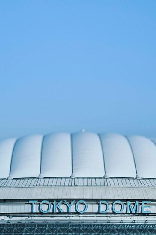 FROM TOKYO: PRIVATE NIKKO WORLD DAY TRIP - Tour Overview and Pricing