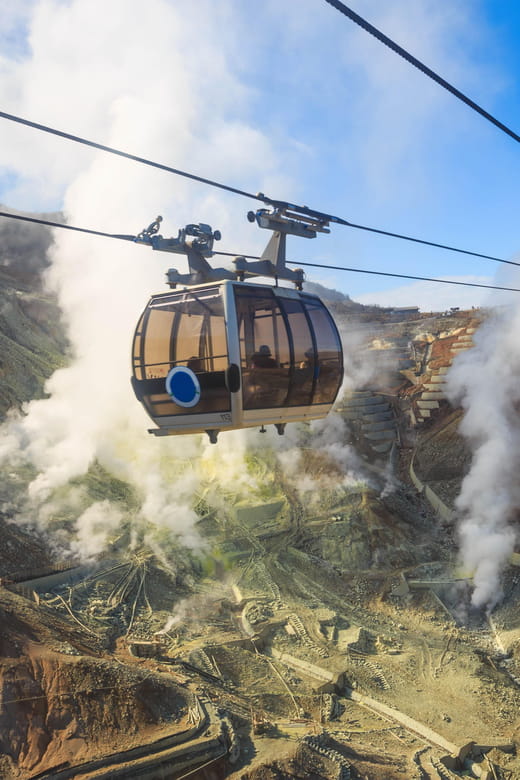 From Tokyo: Scenic Mt.Fuji and Hakone Tour Review - Key Points