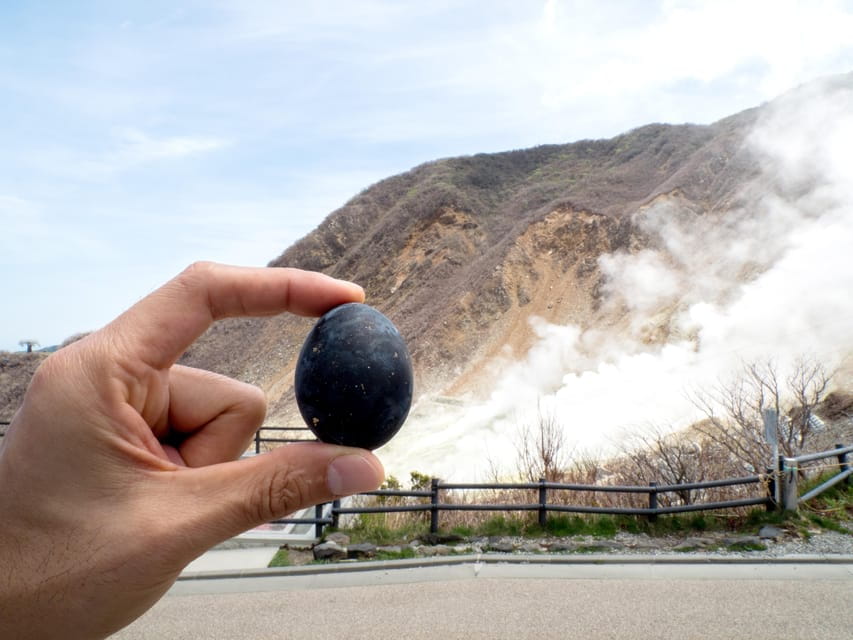 From Tokyo: Scenic Mt.Fuji and Hakone Tour Review - Frequently Asked Questions