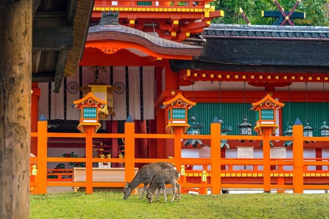 From Tokyo to Kyoto and Nara: A Captivating Full-Day Private Tour - Experiencing the Cultural Treasures of Nara
