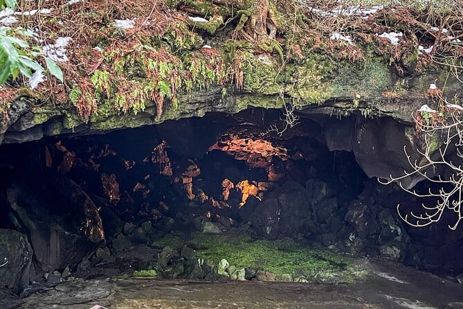 From Tokyo to Mount Fuji! Private Car Tour by Eng Speaking Driver - Cancellation and Refund Policy