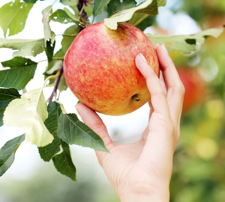 From Torre de Moncorvo: an Immersive Tour through Douro - Key points / Takeaways