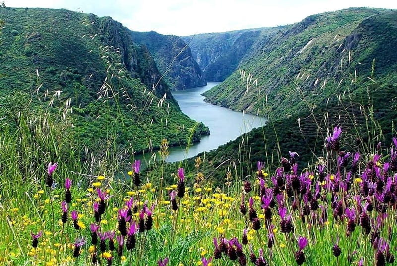 From Torre de Moncorvo: an Immersive Tour through Douro - Exploring the Douro: A Practical and Enjoyable Day