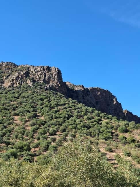 From Torre de Moncorvo: an Immersive Tour through Douro - Who Should Consider This Tour?