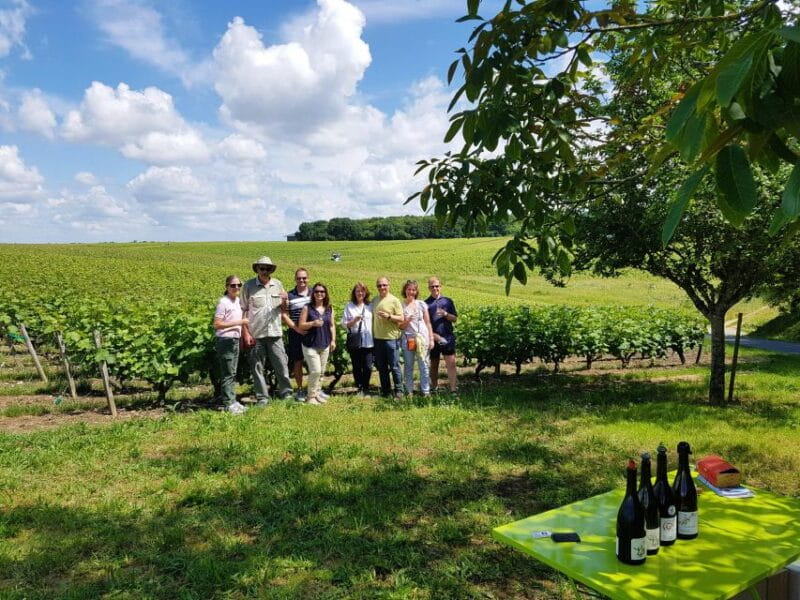 From Tours: Afternoon Loire Valley Wine Tour to Vouvray - Key points / Takeaways