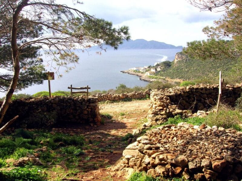 From Trapani: Cruise to Favignana and Levanzo with lunch - Why This Tour Works