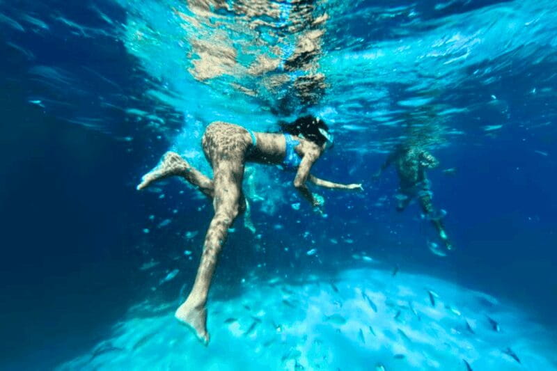 From Trapani: Favignana and Levanzo Island Day Cruise - Who Is This Tour Best For?