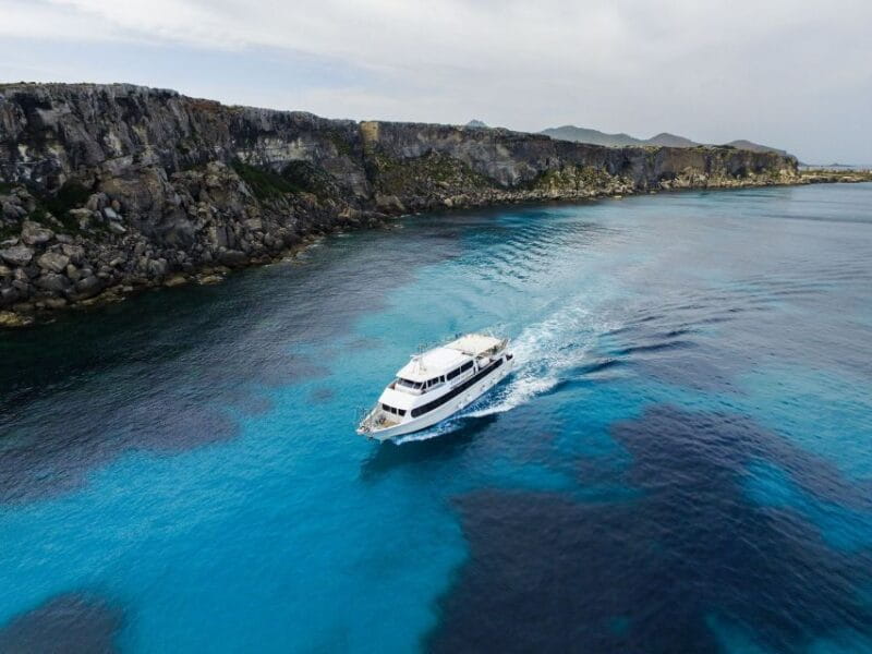From Trapani: Favignana and Levanzo Motorboat Cruise - Setting Sail from Trapani to the Egadi Islands