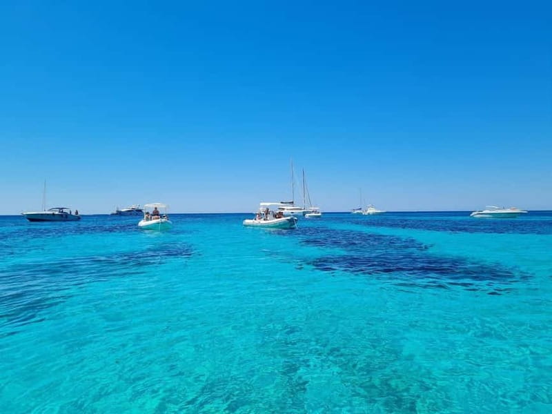 From Trapani: Full-day tour of Favignana and Levanzo with lunch and aperitif - An In-Depth Look at the Day Trip to Favignana and Levanzo