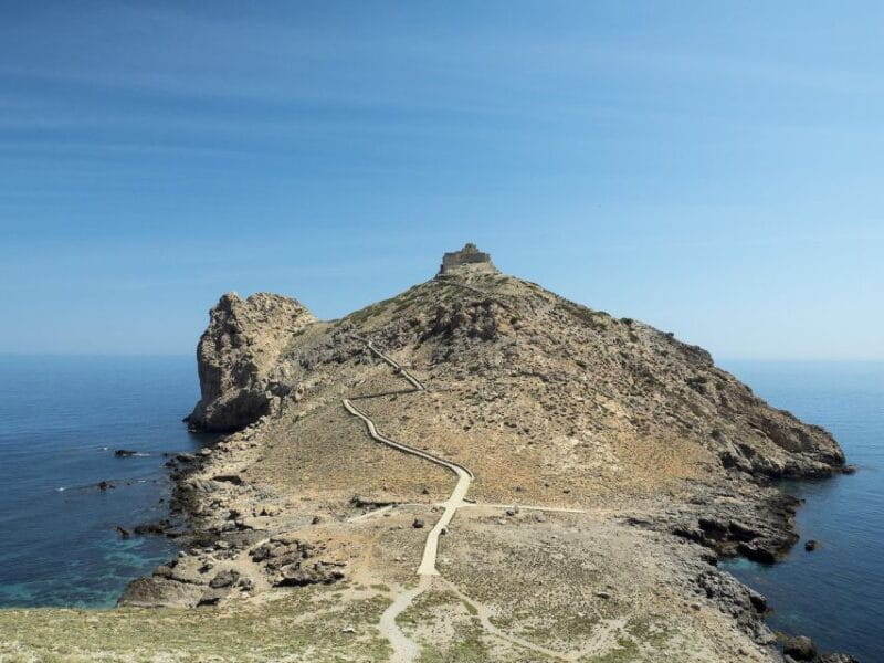 From Trapani: Marettimo Grottos Cruise & Local Food Tastings - Logistics and Value: What You Need to Know