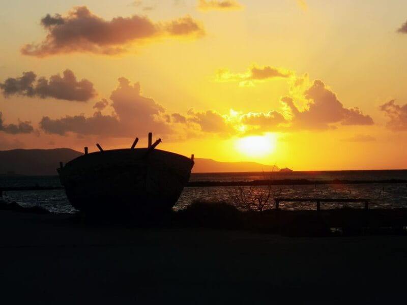 From Trapani: Stagnone Islands of Marsala and salt pans - Who Will Love This Tour?