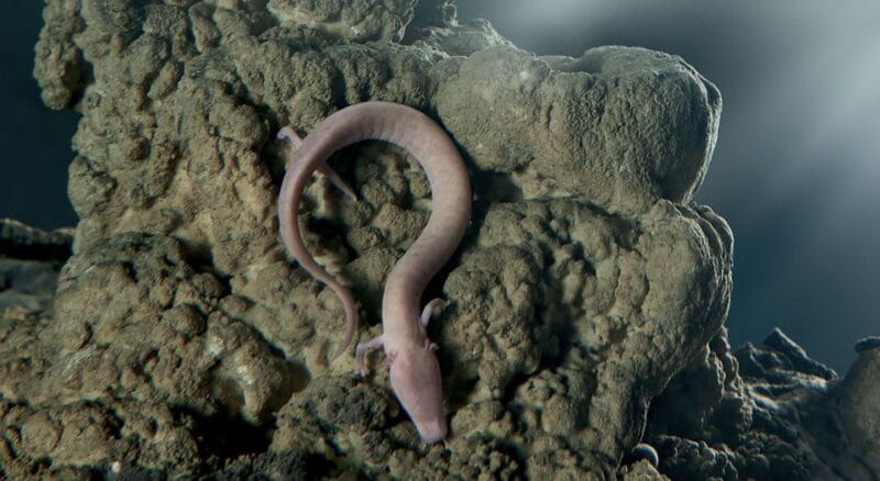 From Trieste: Postojna Cave & Predjama Castle - Key Points / Takeaways