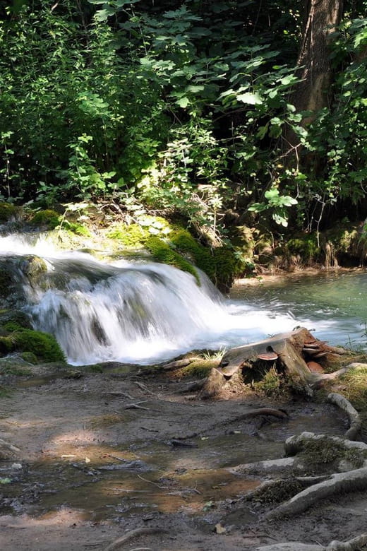 From Trogir, Seget & Okrug: Krka Waterfalls Gastro Tour - Entering Nature’s Masterpiece at Krka National Park