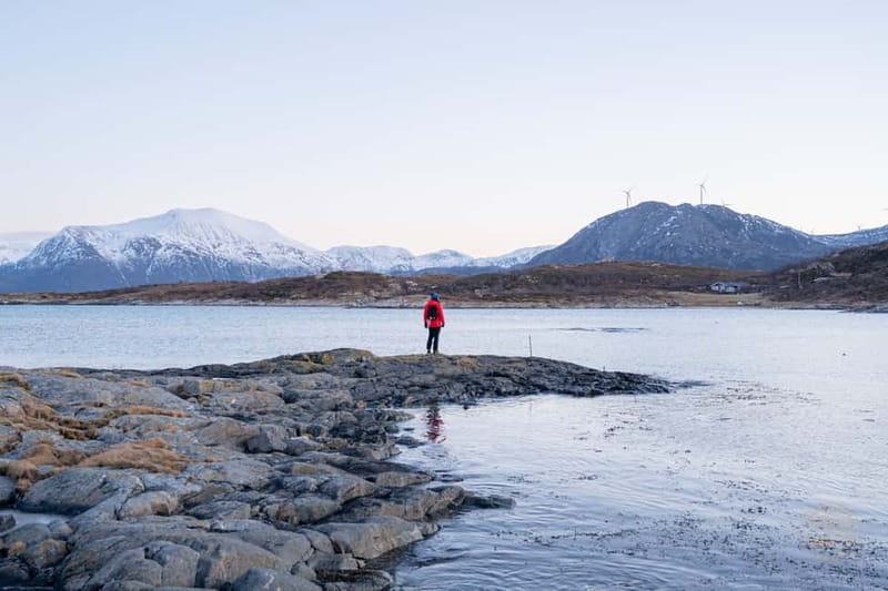 From Tromsø: Arctic Roadtrip: fjords tour with scenic picnic - The Sum Up: A Well-Rounded Arctic Adventure