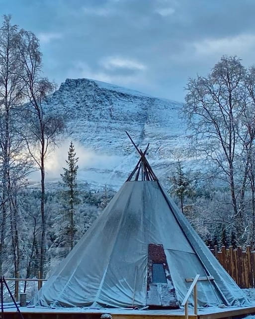 From Tromso: Arctic Wilderness Snowmobile Daytime Tour - Key points / Takeaways