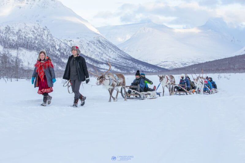 From Tromsø: Daytime Reindeer Sledding at Camp Tamok - Deep Dive into the Cultural Component