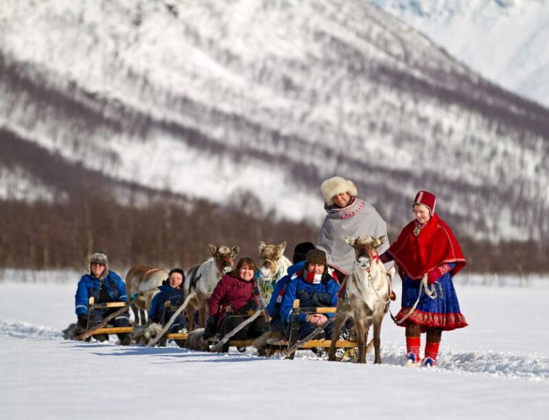 From Tromsø: Daytime Reindeer Sledding at Camp Tamok - Price and Value Considerations
