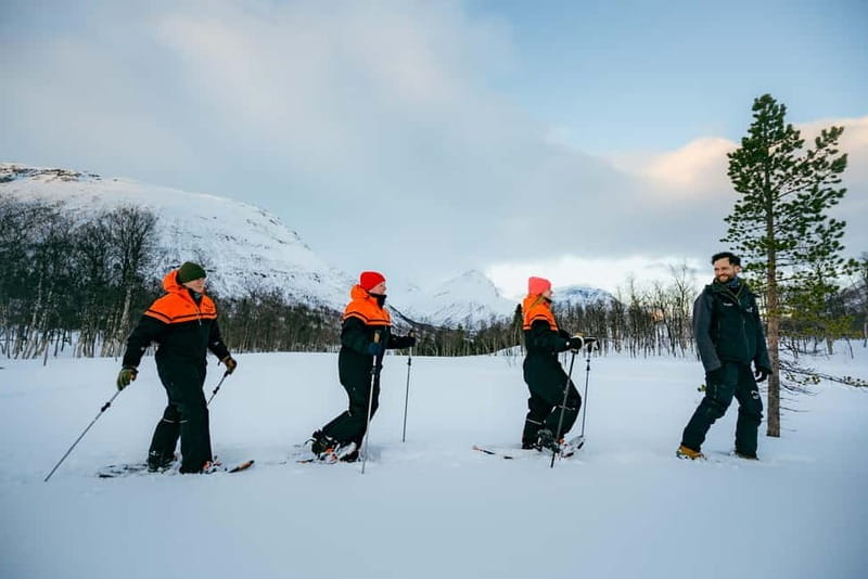 From Tromsø: Daytime Snowshoeing and Snow Park Visit - Key points / Takeaways